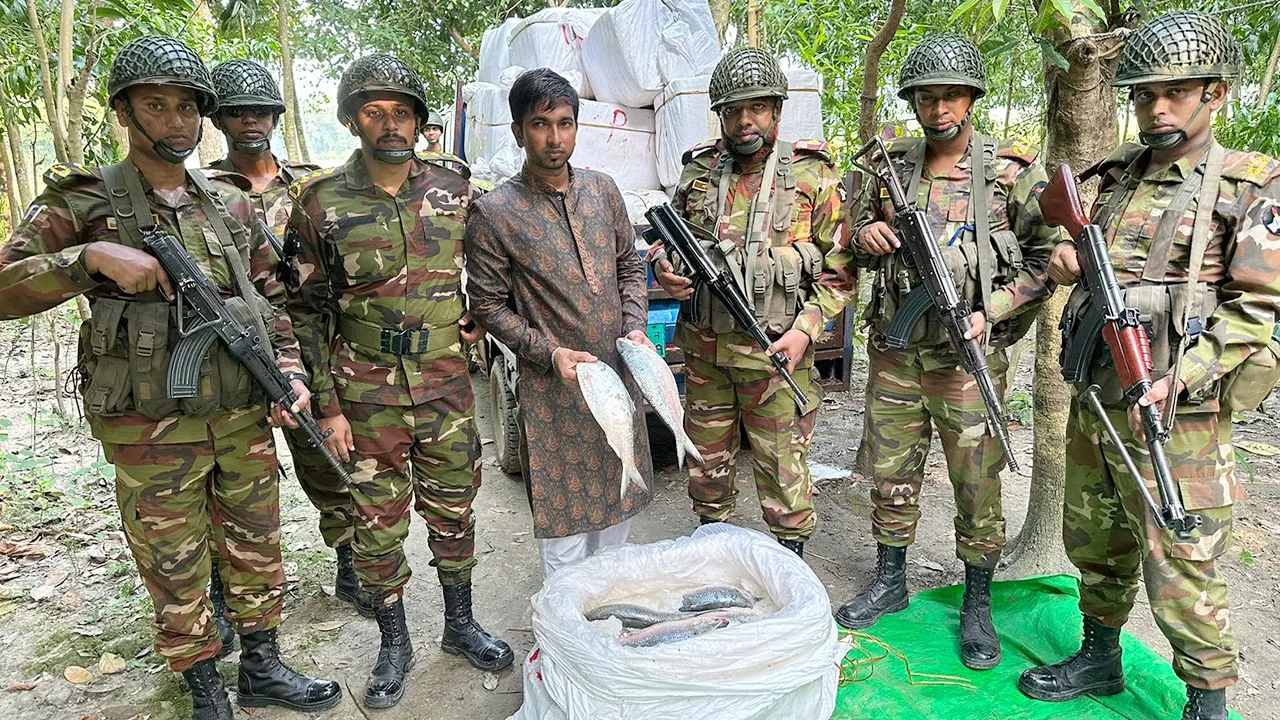 ভারতে পাচারকালে এক ব্যক্তিকে আটক ও পিকআপসহ ইলিশ জব্দ করে সেনাবাহিনী। ছবি : কালবেলা