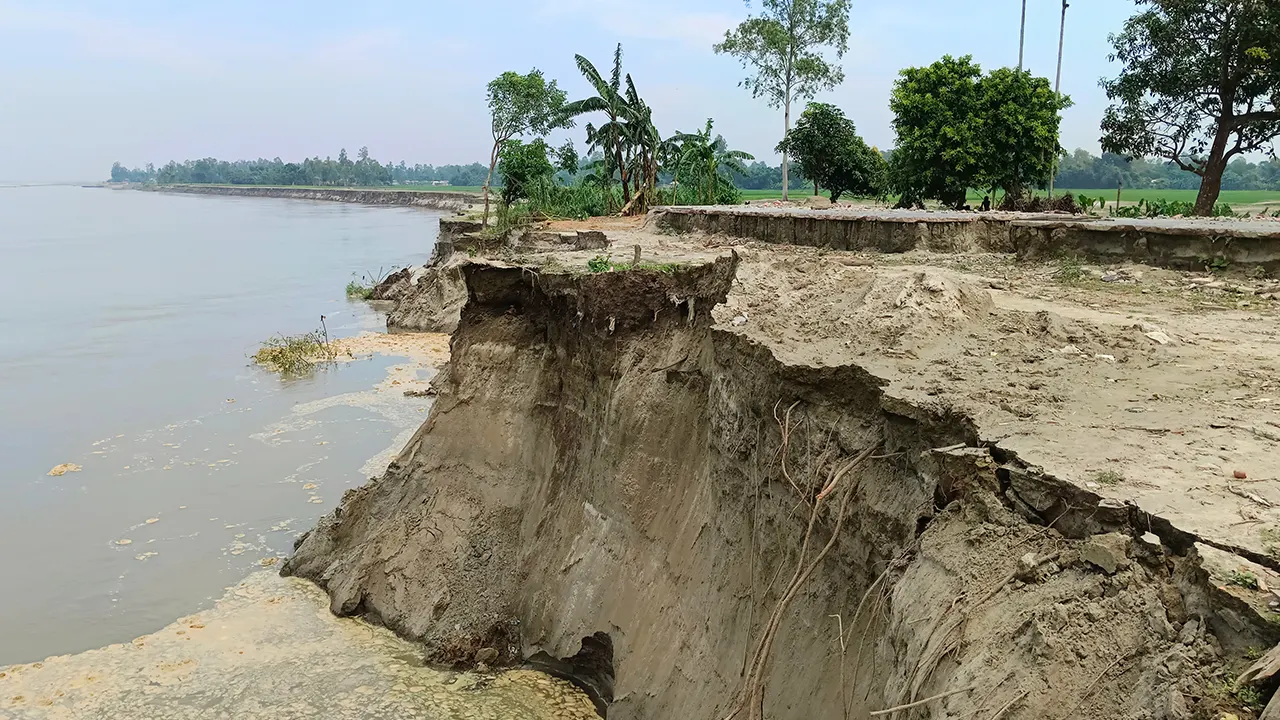 যমুনার ভাঙনে বিলীন হচ্ছে জামালপুরের মাদারগঞ্জের পাকরুল গ্রাম। ছবি : কালবেলা