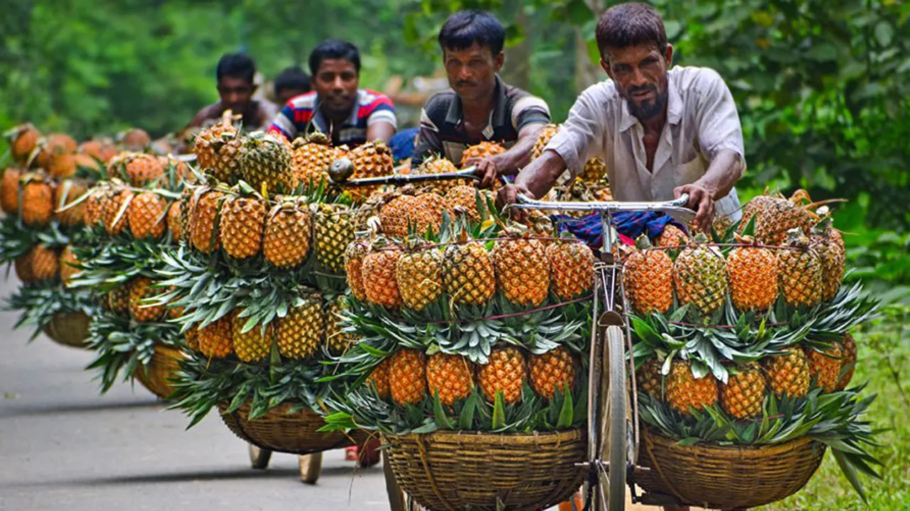 ছবি : সংগৃহীত