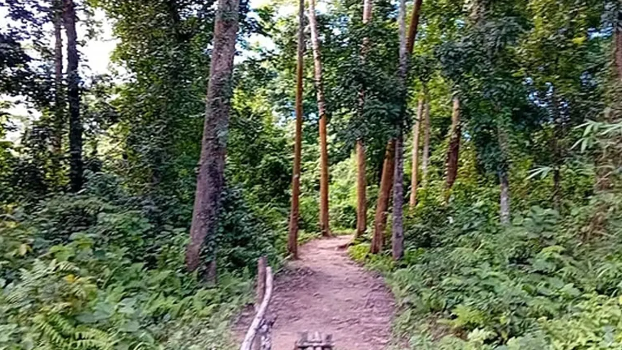 ছবি : সংগৃহীত
