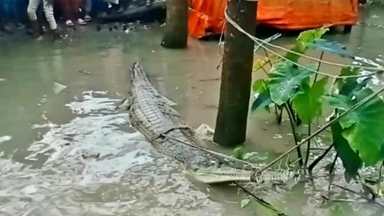 ময়মনসিংহ মেডিকেল কলেজের ২৮ শিক্ষার্থী বহিষ্কার