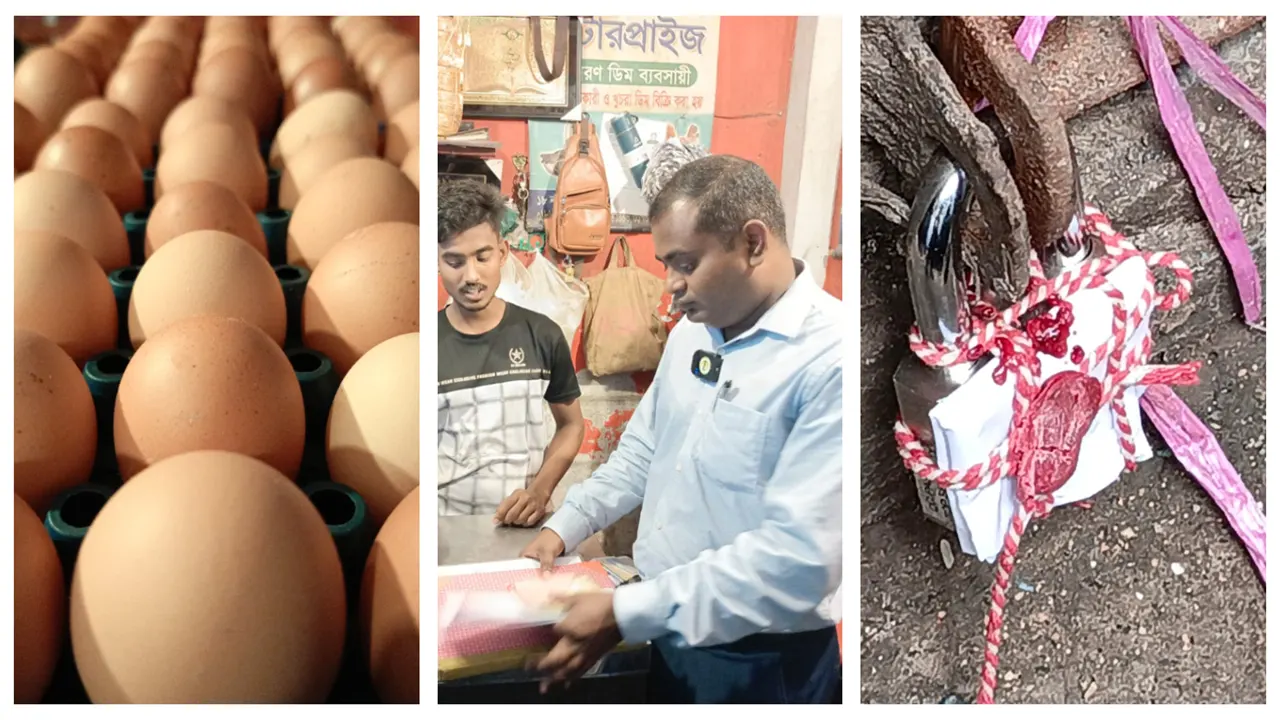 ডিমের মূল্য বৃদ্ধির দায়ে দুটি প্রতিষ্ঠানকে ১ লাখ টাকা জরিমানা আরোপ ও আদায় এবং সিলাগালা করা হয়েছে। ছবি : কালবেলা