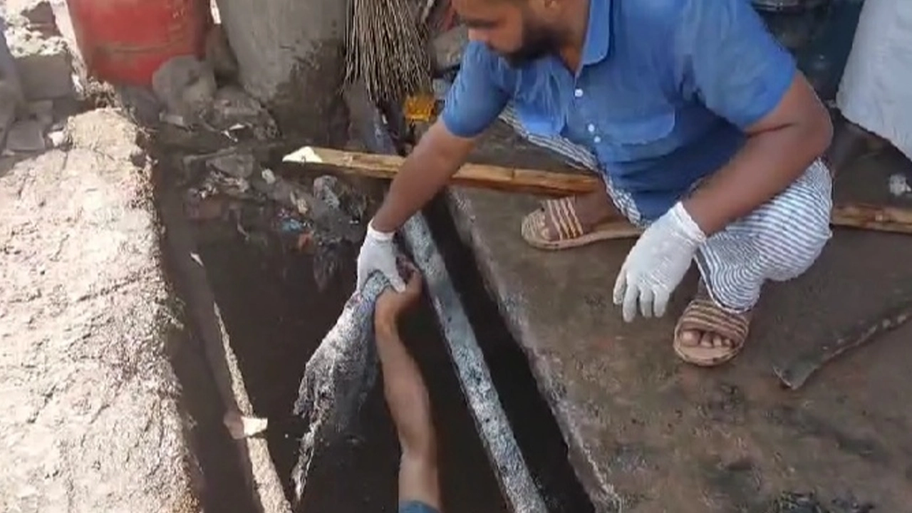 মসজিদের খতিবের নেতৃত্বে ড্রেন পরিষ্কার করেন স্বেচ্ছাসেবকরা। ছবি : কালবেলা