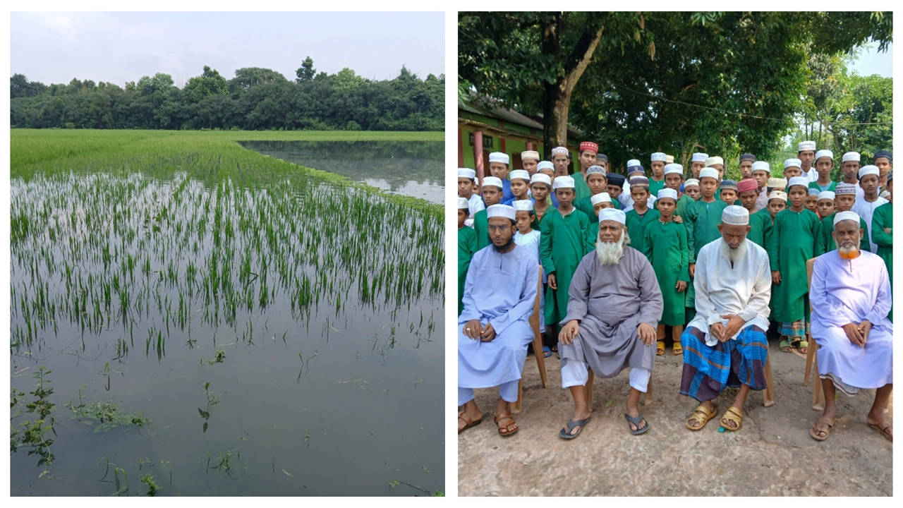 বাঁ থেকে ডুবে যাওয়া ধানের জমি ও এতিমখানার শিক্ষক-শিক্ষার্থীরা। ছবি : কালবেলা