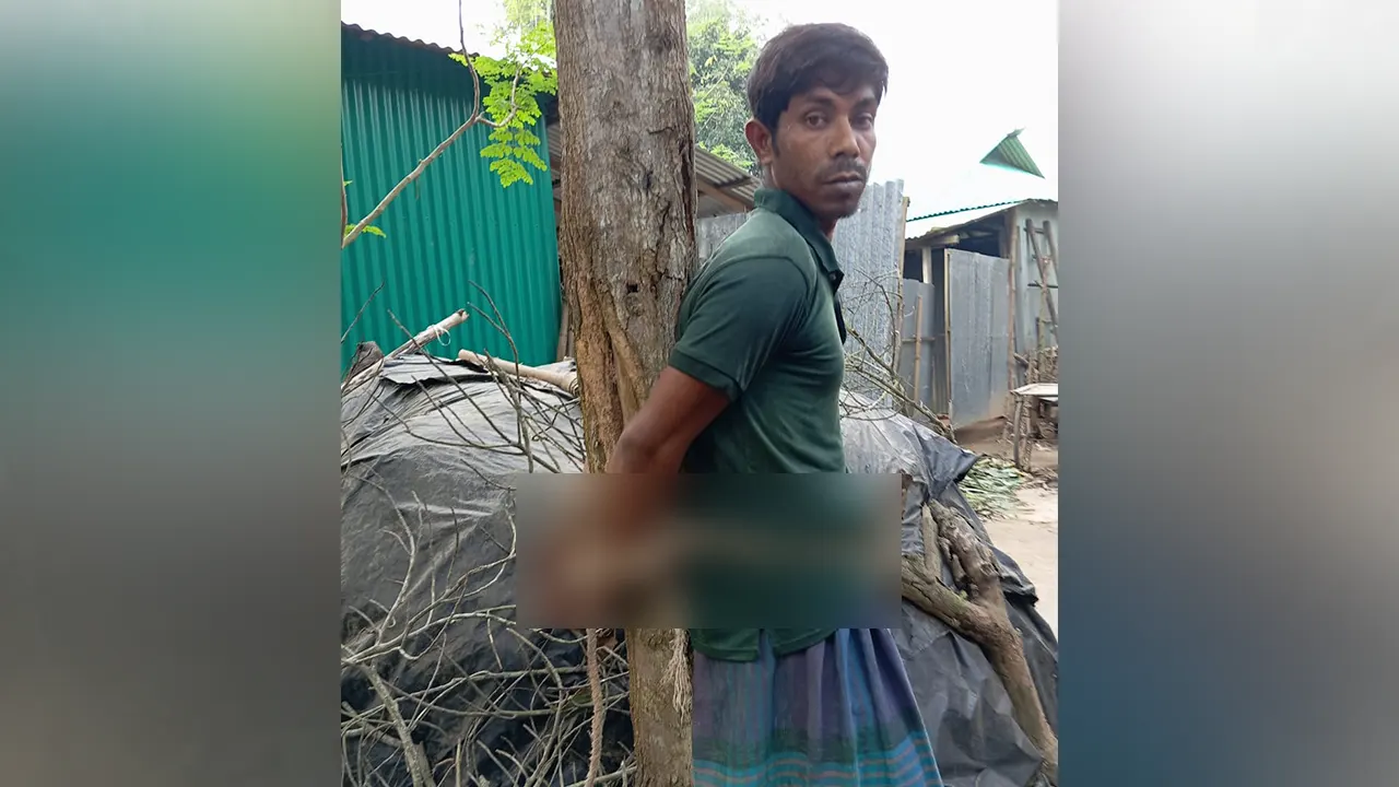 গাছের সঙ্গে বাঁধা প্রেমিক আনোয়ার হোসেন রানা। ছবি : কালবেলা