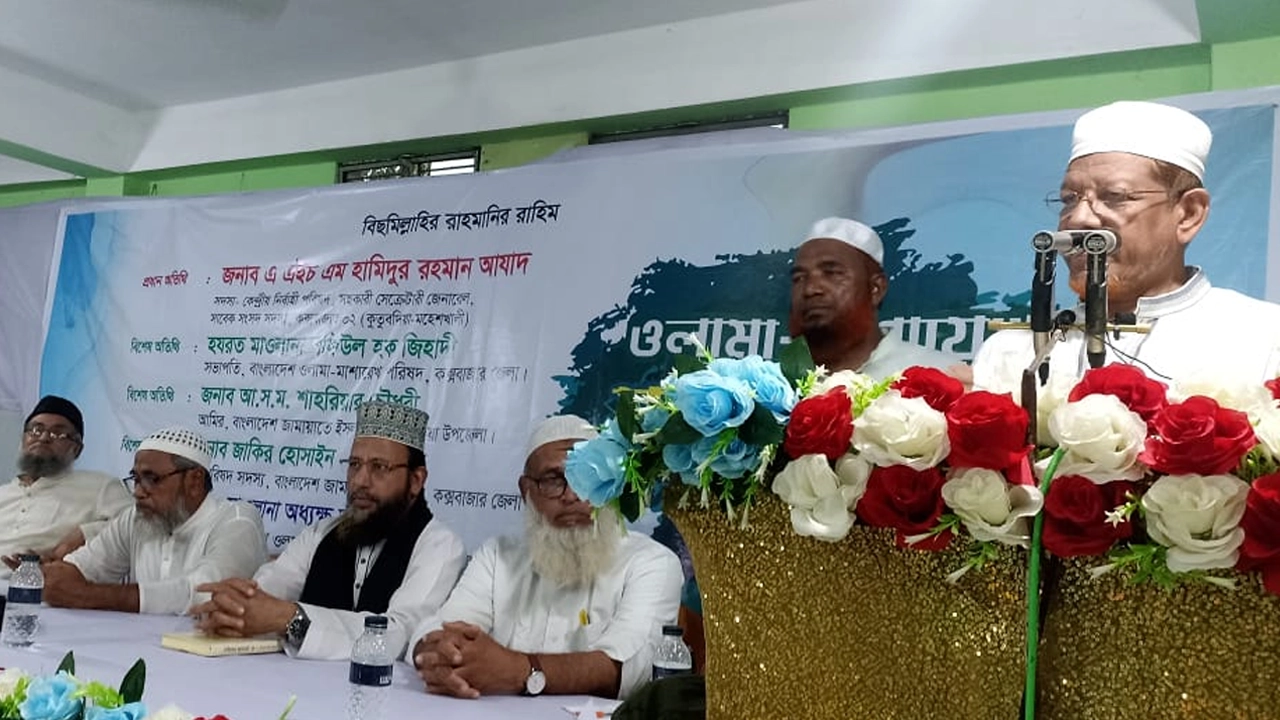 কথা বলছেন এইচএম হামিদুর রহমান আযাদ। ছবি : কালবেলা