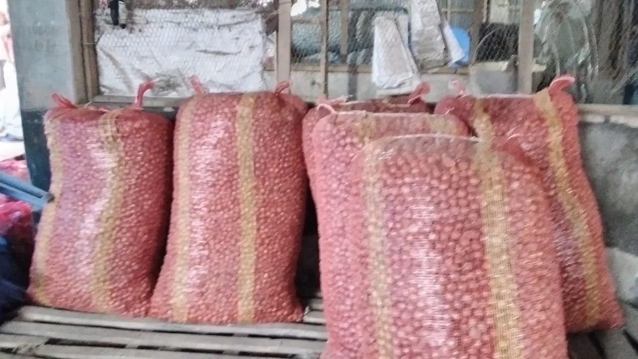 পেঁয়াজ বীজ। ছবি : কালবেলা