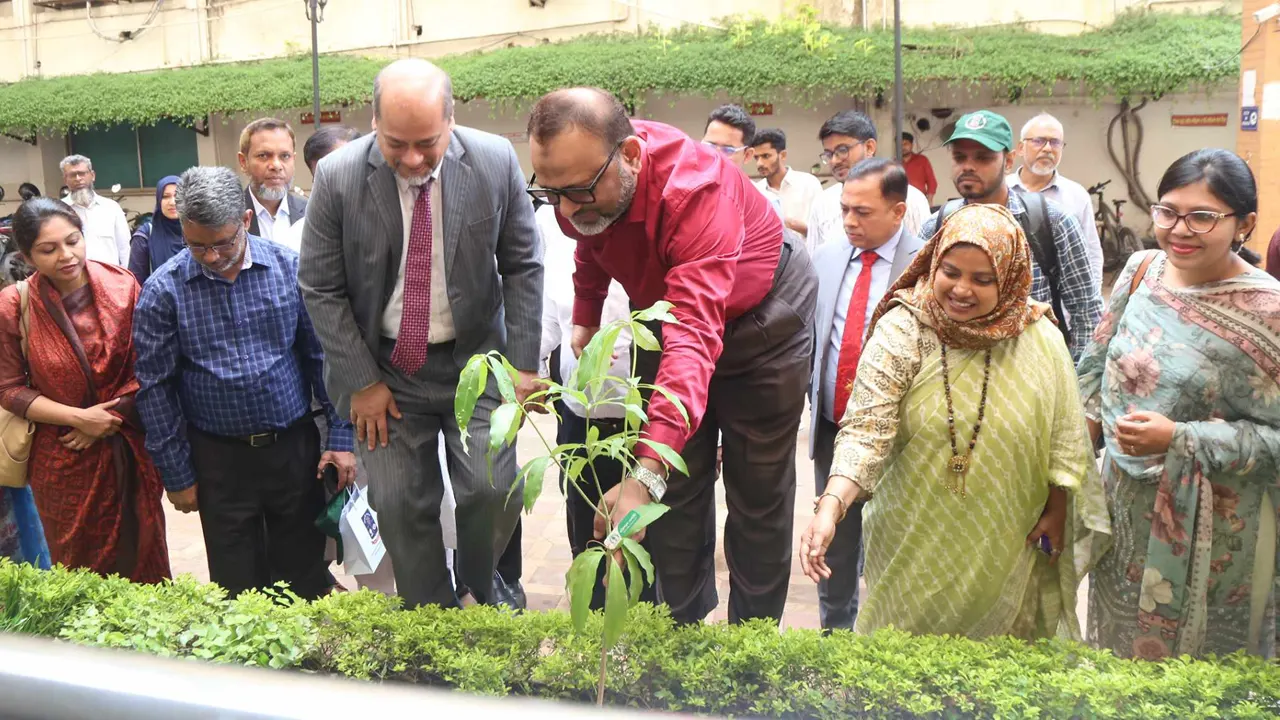 বৃক্ষরোপণ কর্মসূচি উদ্বোধনকালে ঢাবি উপাচার্য অধ্যাপক ড. নিয়াজ আহমদ খান। ছবি : কালবেলা