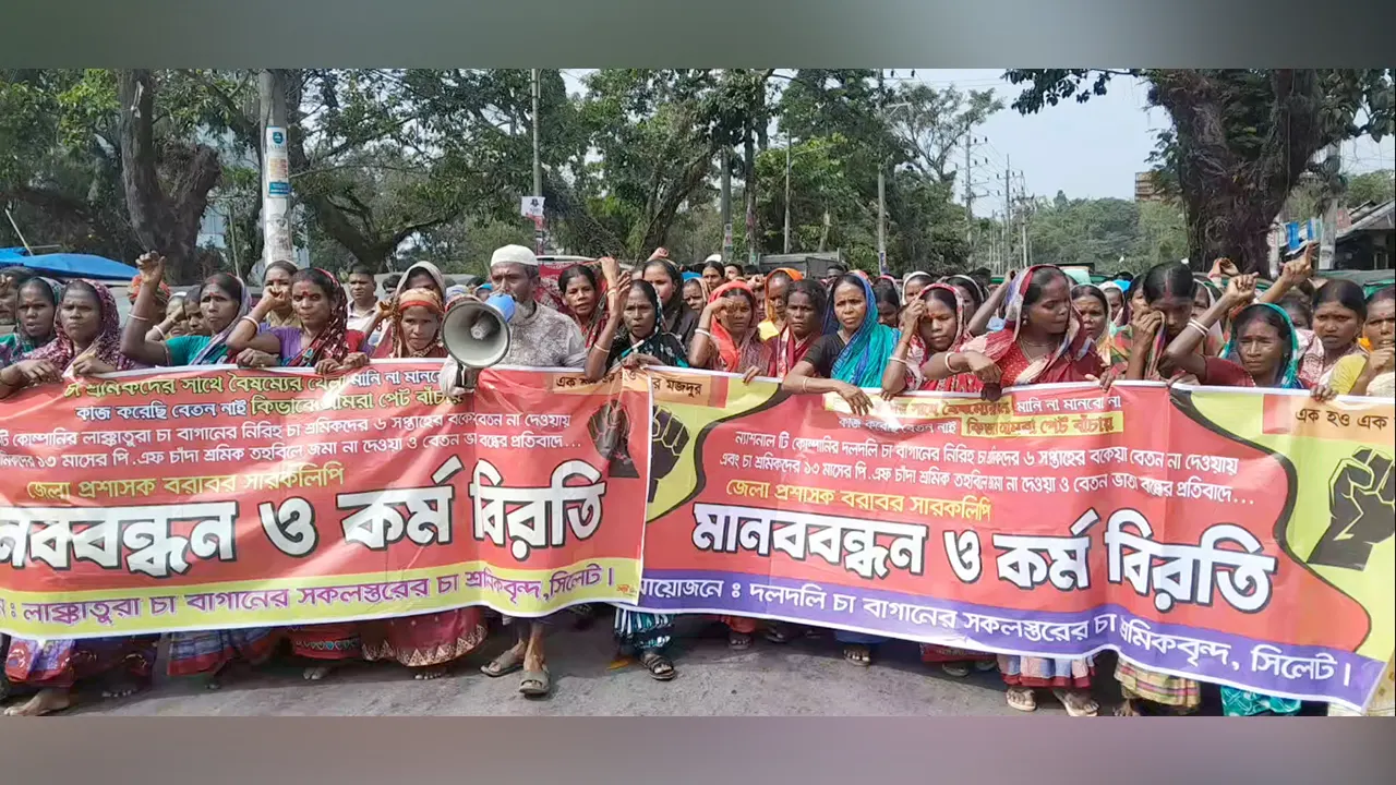 সড়ক অবরোধ করে বিক্ষোভ করেন চা শ্রমিকরা। ছবি : কালবেলা