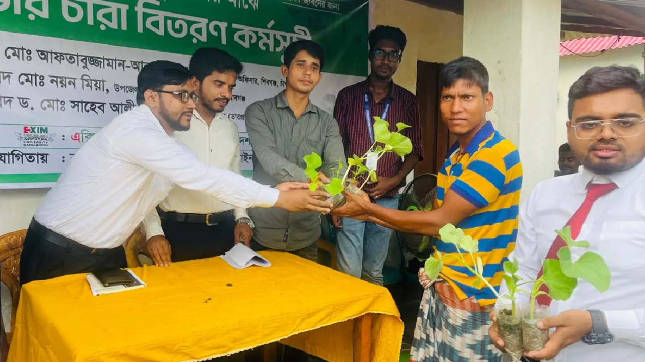 বন্যায় ক্ষতিগ্রস্ত মানুষের পাশে বিনামূল্যে সবজির চারা বিতরণ। ছবি : সংগৃহীত