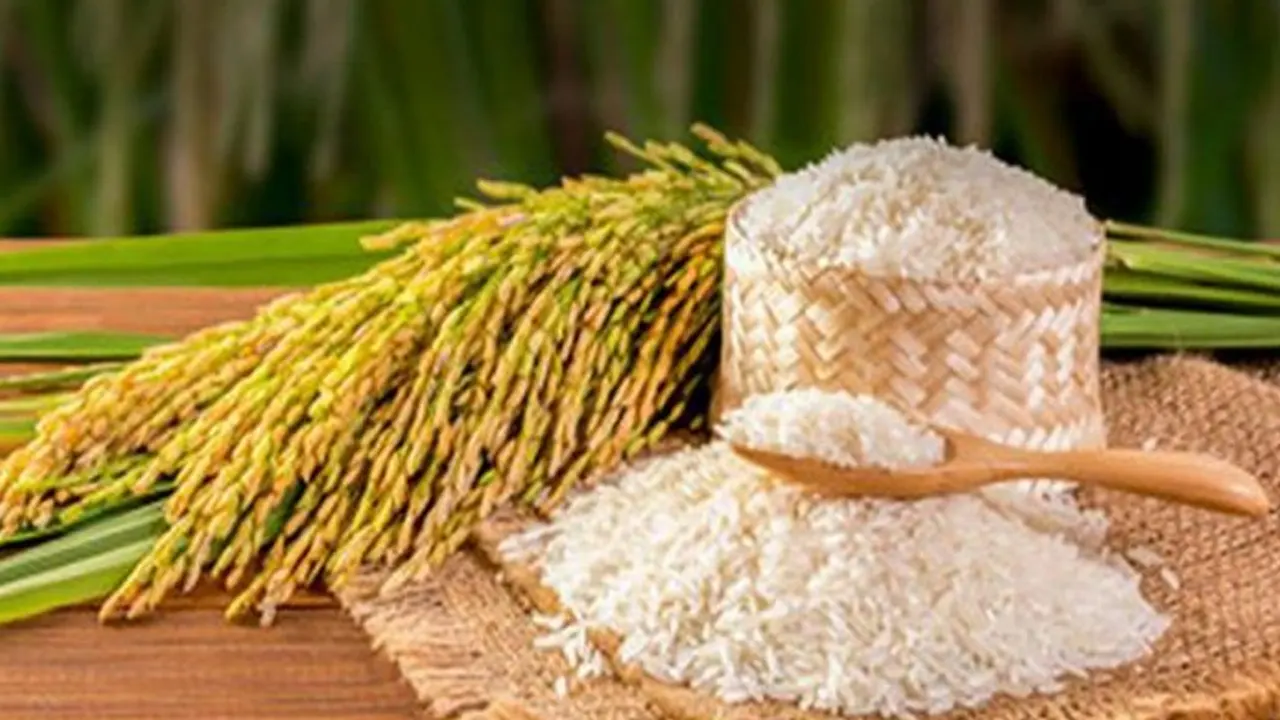 ঢাকা নগরের বয়স নিয়ে জানা গেল নতুন তথ্য