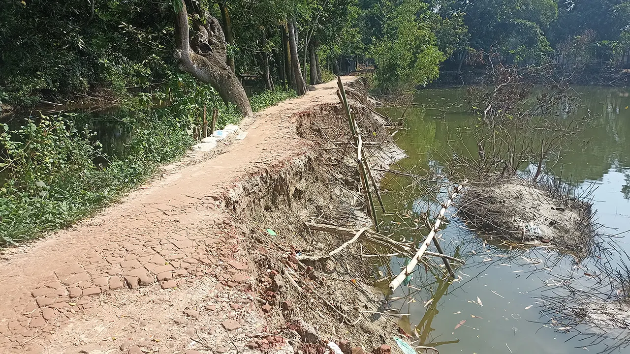 চলাচলের সড়ক ভেঙে পুকুরে। ছবি : কালবেলা