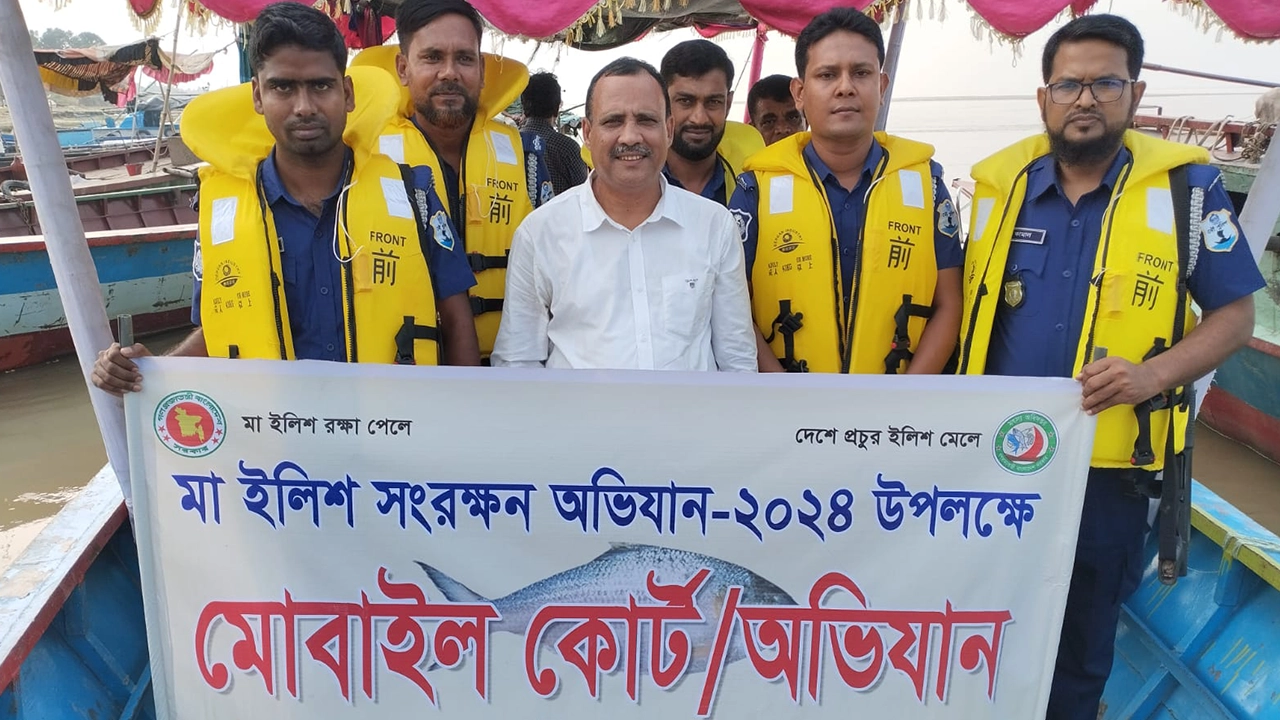 রাজবাড়ীতে পদ্মায় মা ইলিশ সংরক্ষণ অভিযান। ছবি : কালবেলা