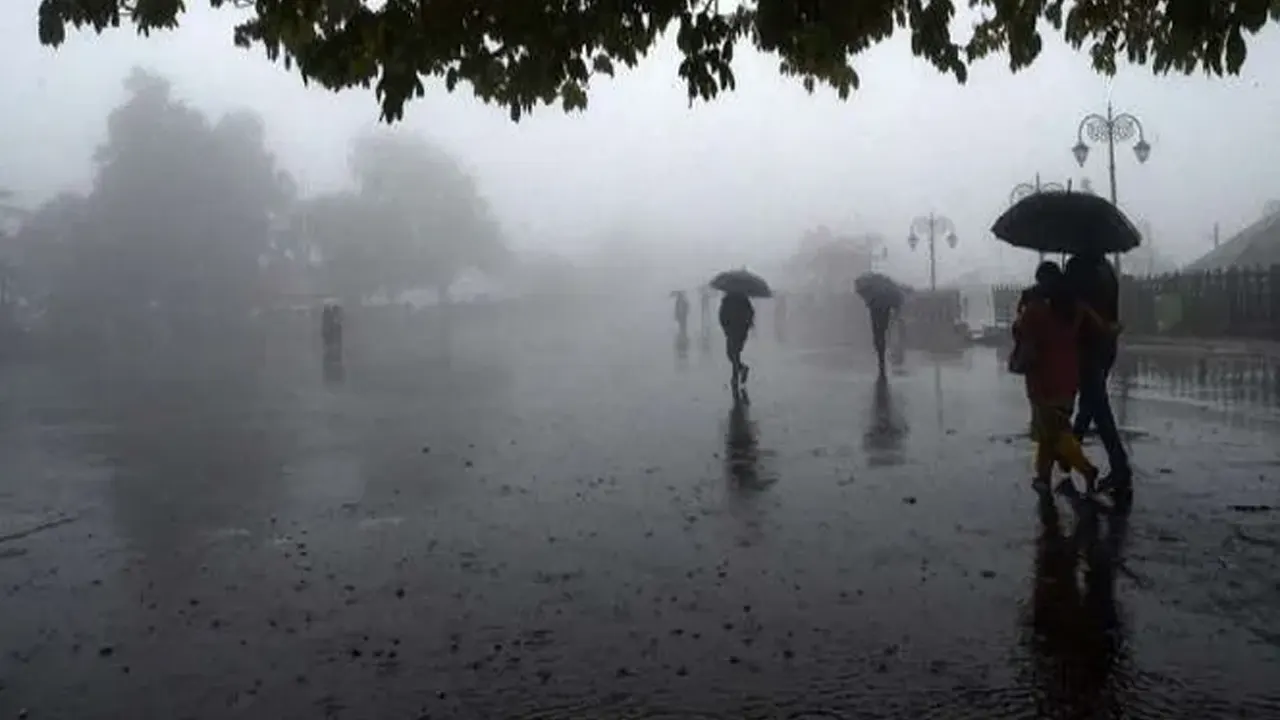 পুরোনো ছবি