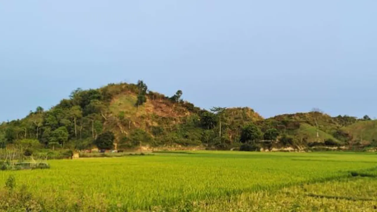 ফাইল ফটো