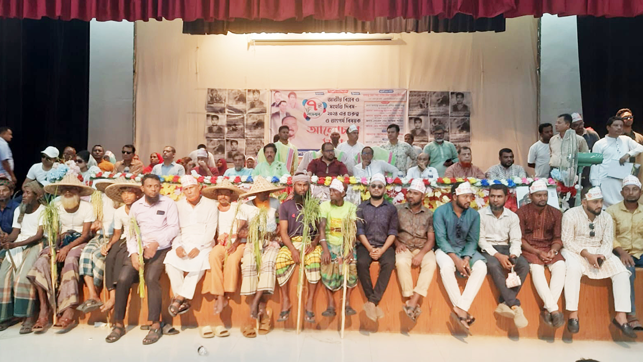 লালমোহনে জাতীয় বিপ্লব ও সংহতি দিবস উদযাপন। ছবি : কালবেলা