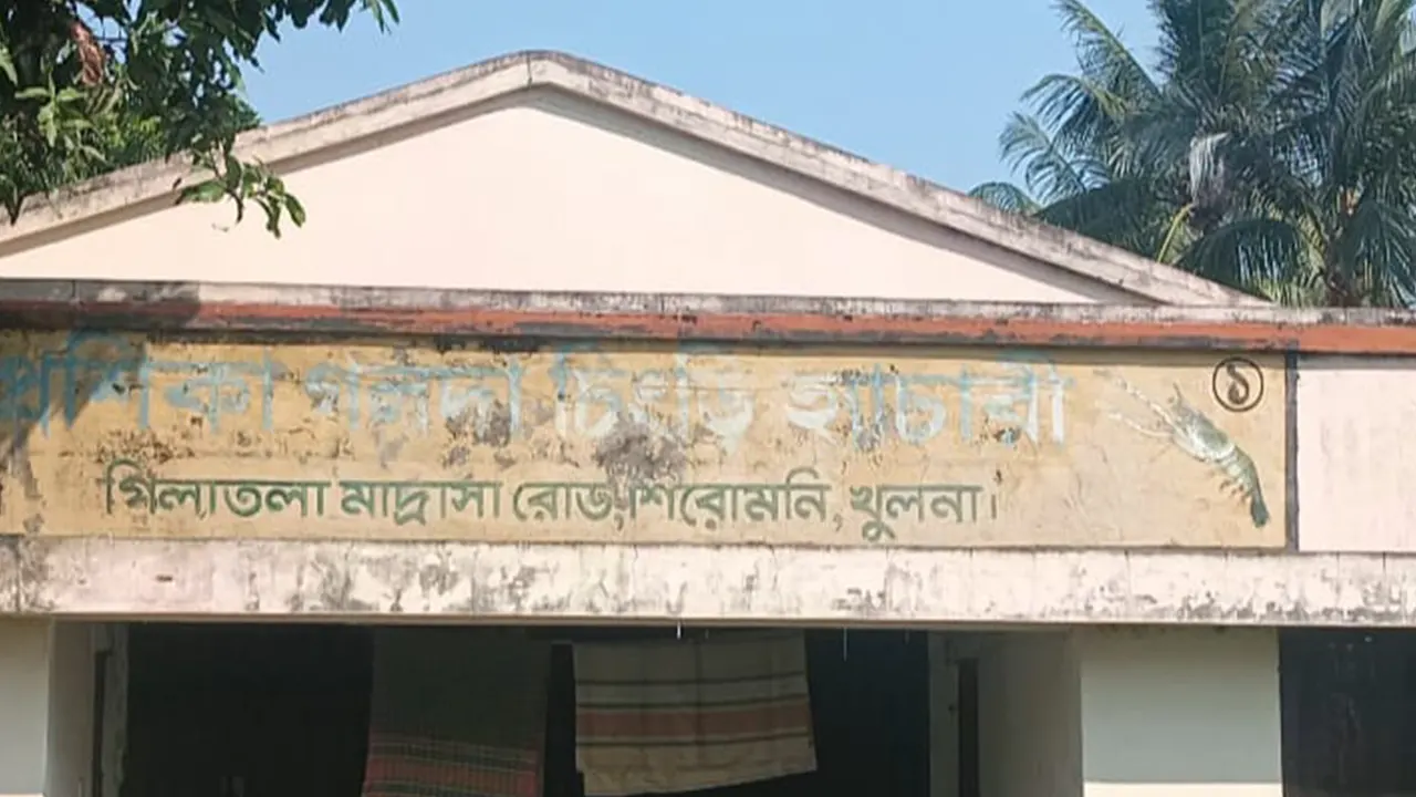 প্রশিকা গলদা চিংড়ি হ্যাচারি। ছবি : কালবেলা