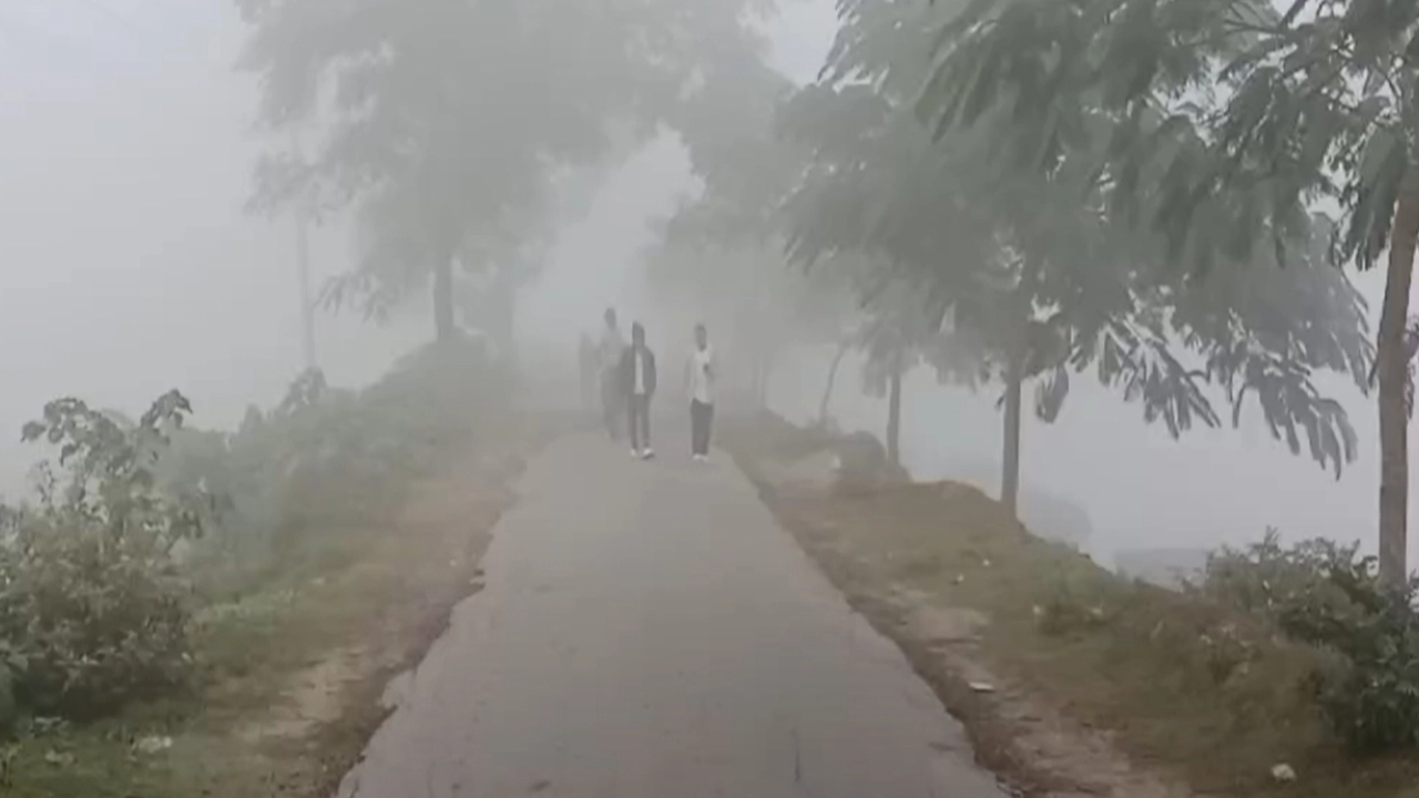 কুড়িগ্রামে তীব্র কুয়াশা। ছবি : কালবেলা
