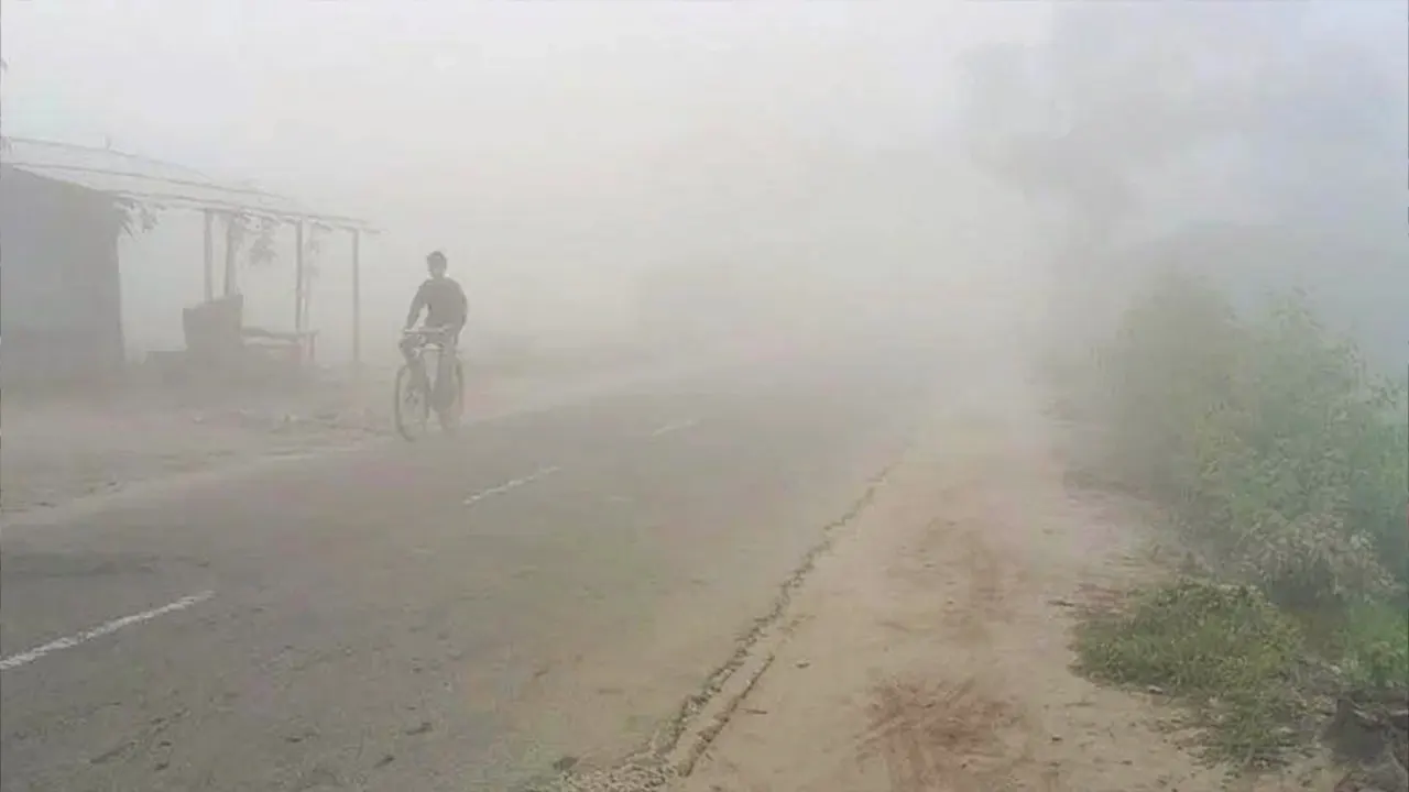কুয়াশায় ছেয়ে গেছে দিনাজপুর। ছবি : কালবেলা