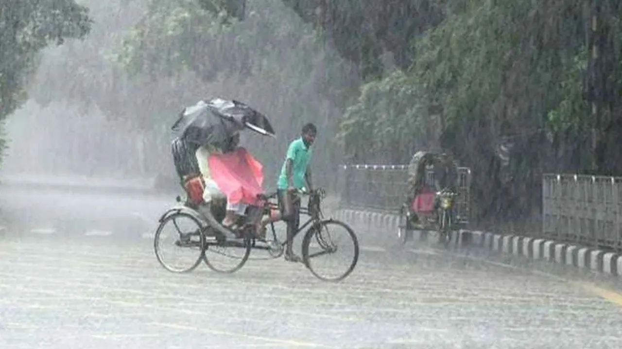 ছবি : সংগৃহীত