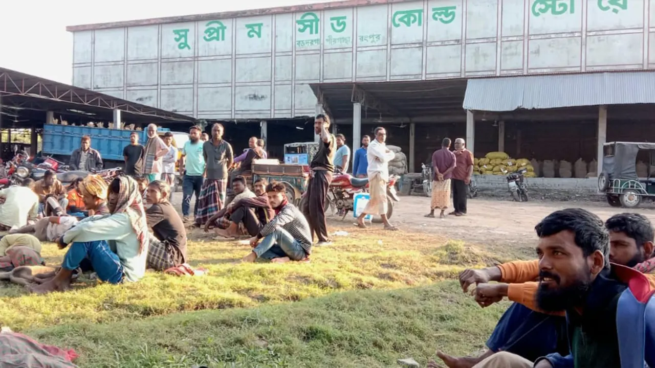 সুপ্রিম সিড কোল্ডস্টোরেজের সামনে আলু বীজ পাওয়ার অপেক্ষায় কৃষক। ছবি : কালবেলা