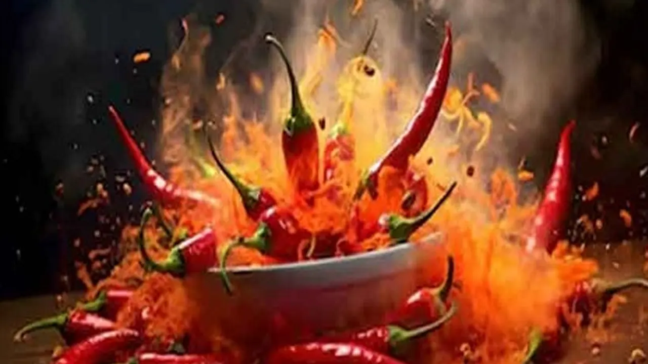 লাল মরিচ। ছবি : সংগৃহীত