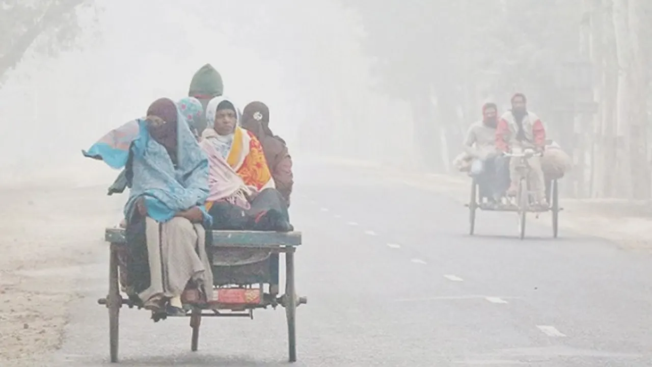 ছবি : সংগৃহীত