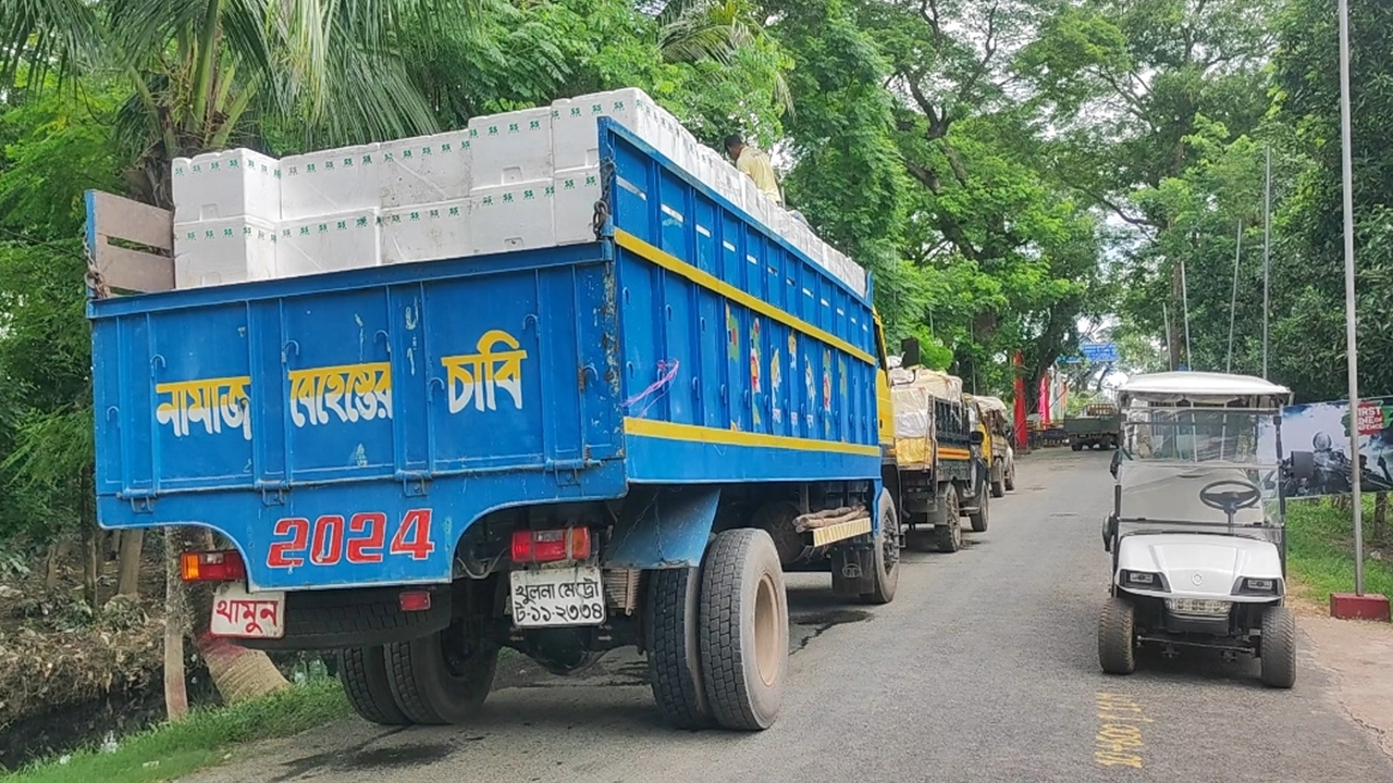 আখাউড়া সীমান্ত দিয়ে ভারতে যাচ্ছে হিমায়িত মাছ। ছবি : কালবেলা