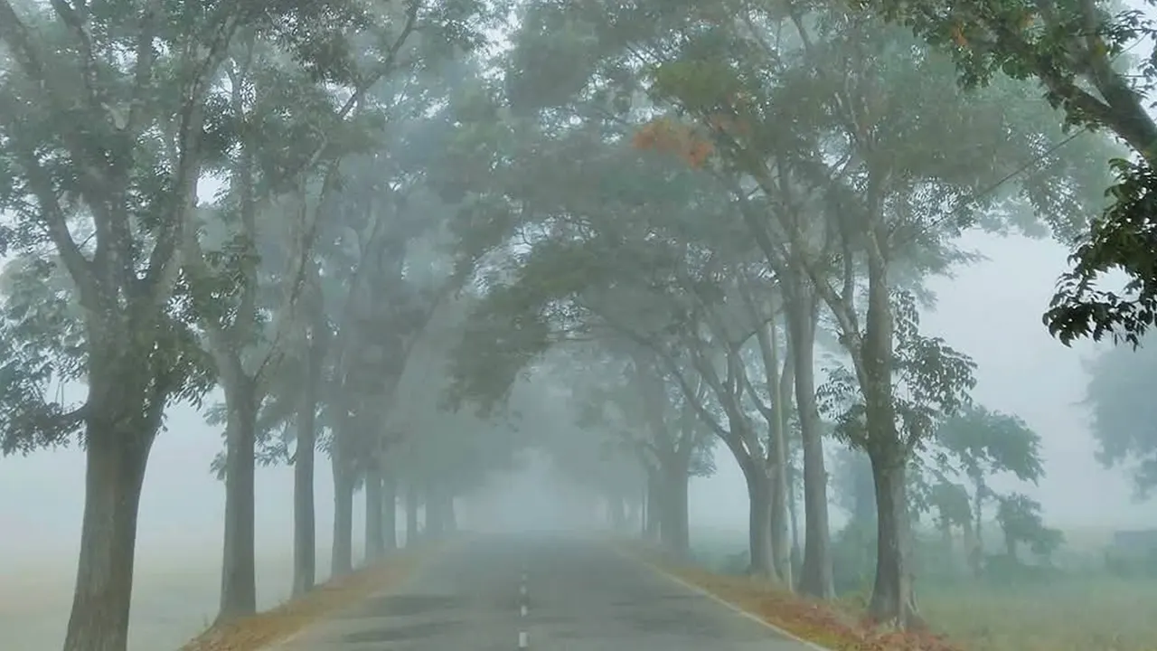 প্রকৃতিতে ছেয়ে গেছে কুয়াশা। ছবি : কালবেলা