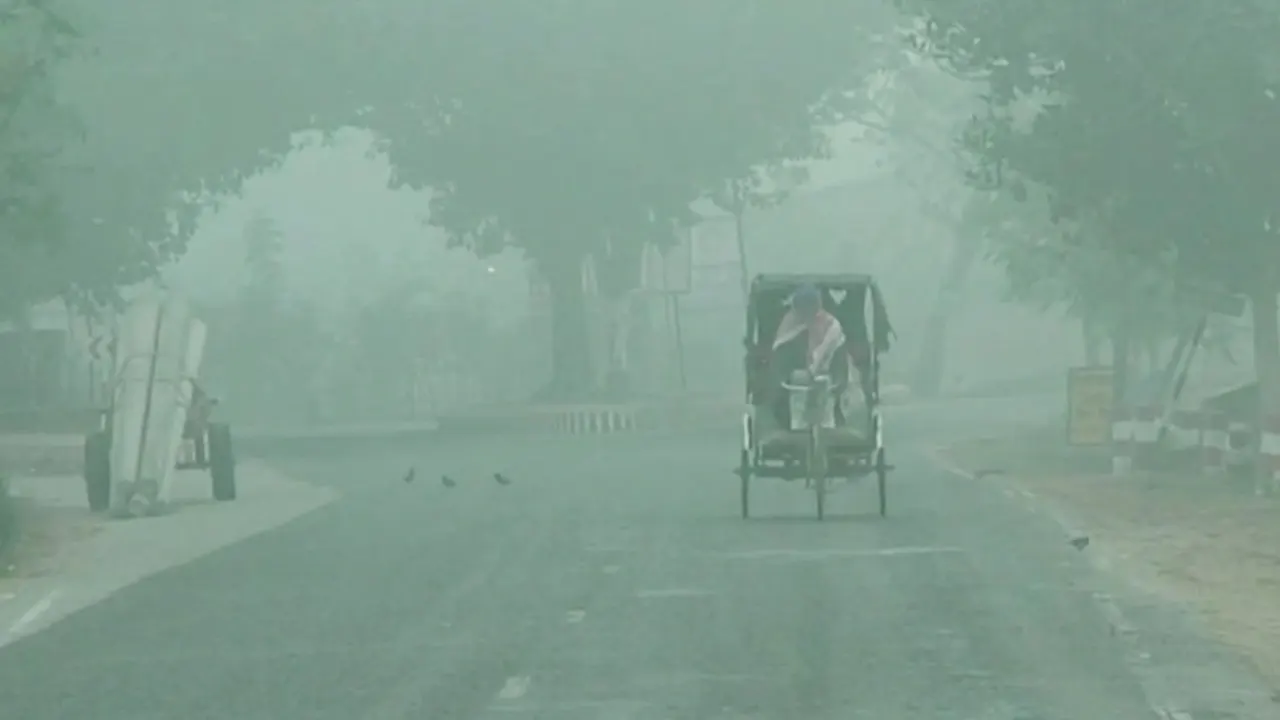 কুয়াশা ঘেরা শীতের সকাল। ছবি : কালবেলা