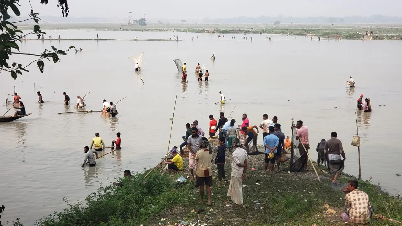 সিলেটের দক্ষিণ সুরমার জলমহাল। ছবি : কালবেলা