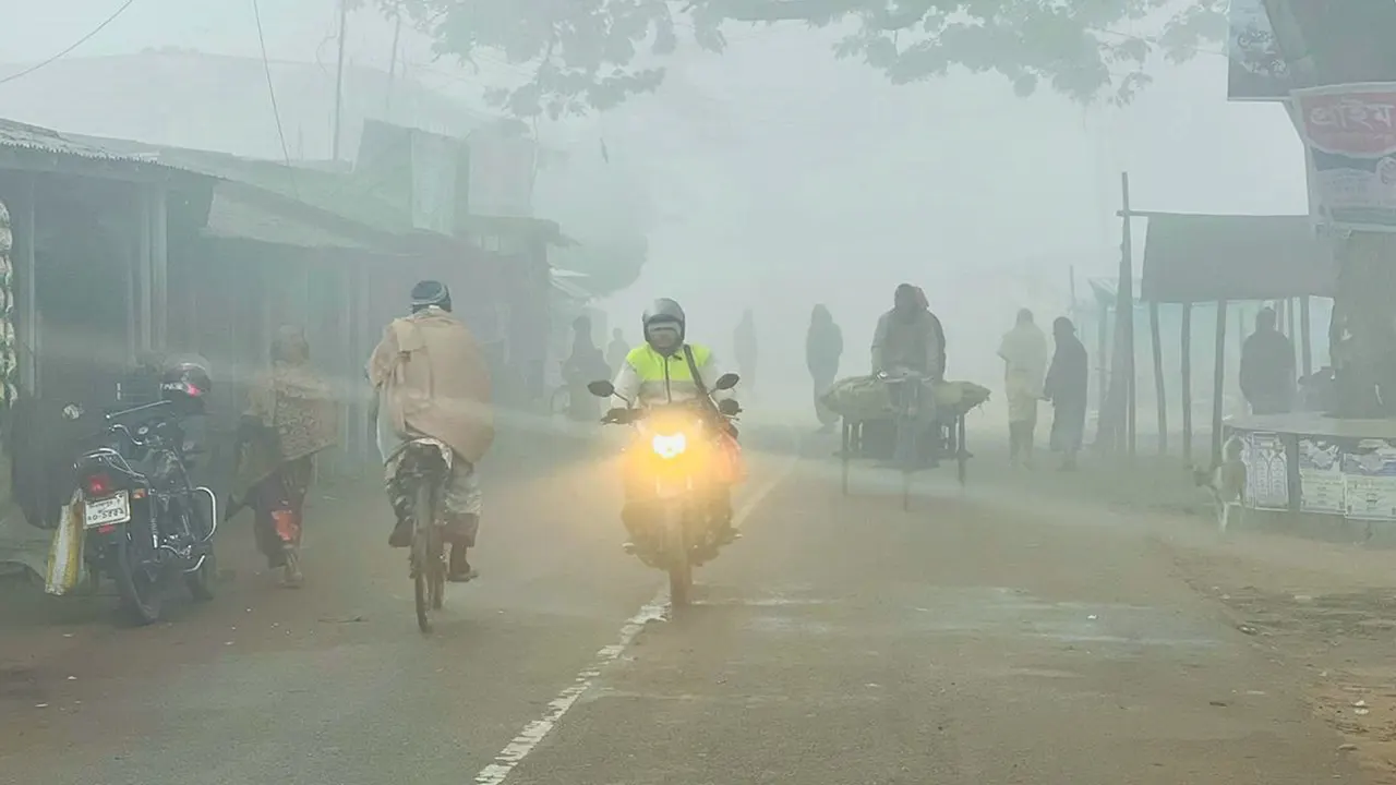 কুয়াশায় ছেয়ে গেছে দিনাজপুরের চিরিরবন্দরের প্রকৃতি। ছবি : কালবেলা