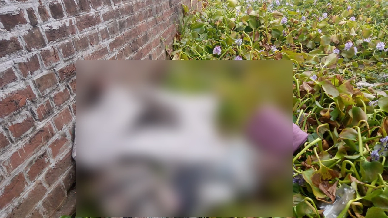রেলব্রিজের নিচে পড়ে থাকা অজ্ঞাত বৃদ্ধের মরদেহ। ছবি : কালবেলা
