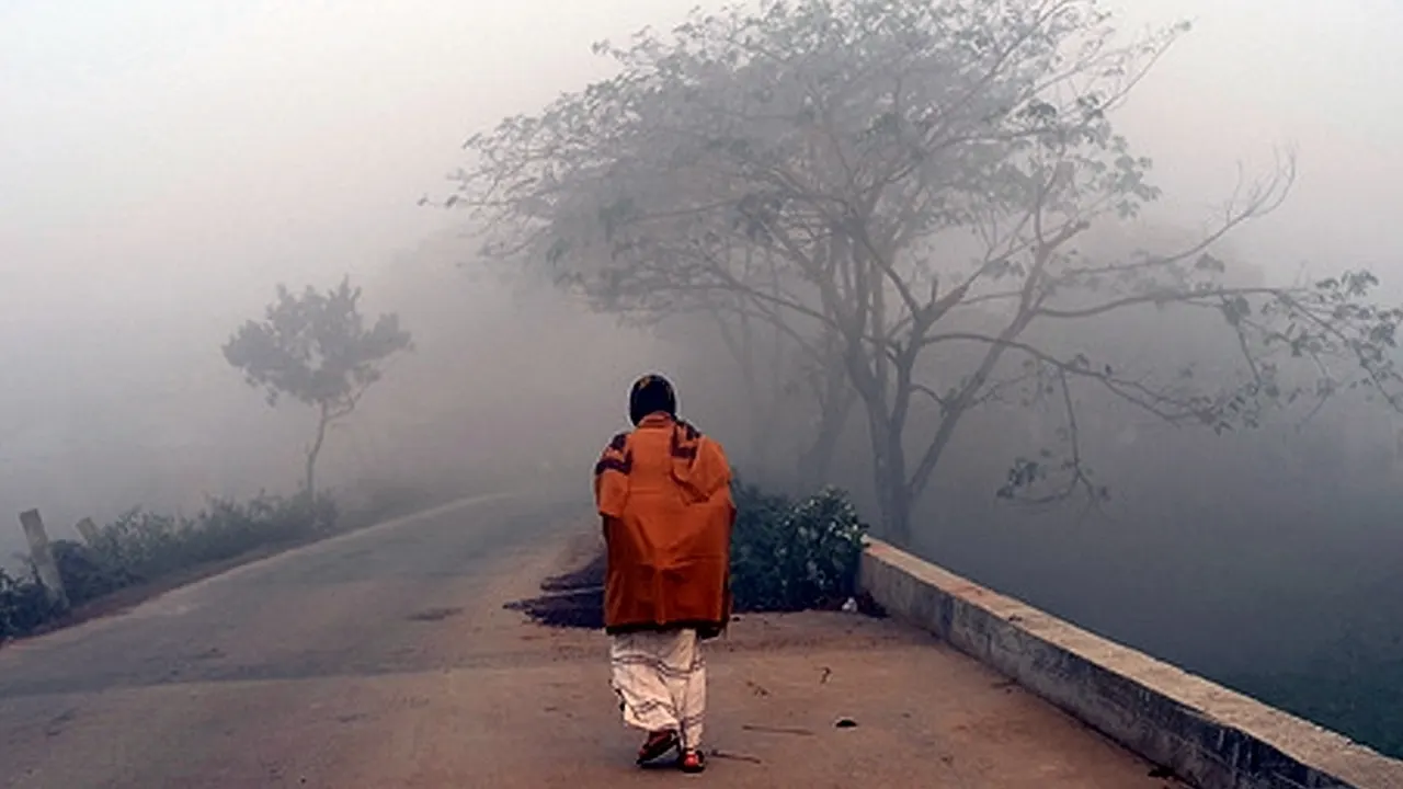 ছবি : সংগৃহীত