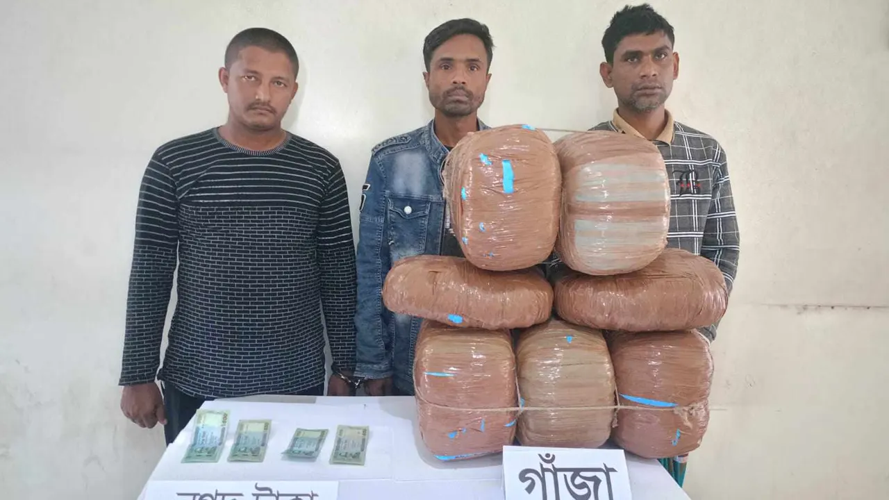 উদ্ধারকৃত গাঁজাসহ গ্রেপ্তারকৃত আসামিরা। ছবি : সংগৃহীত