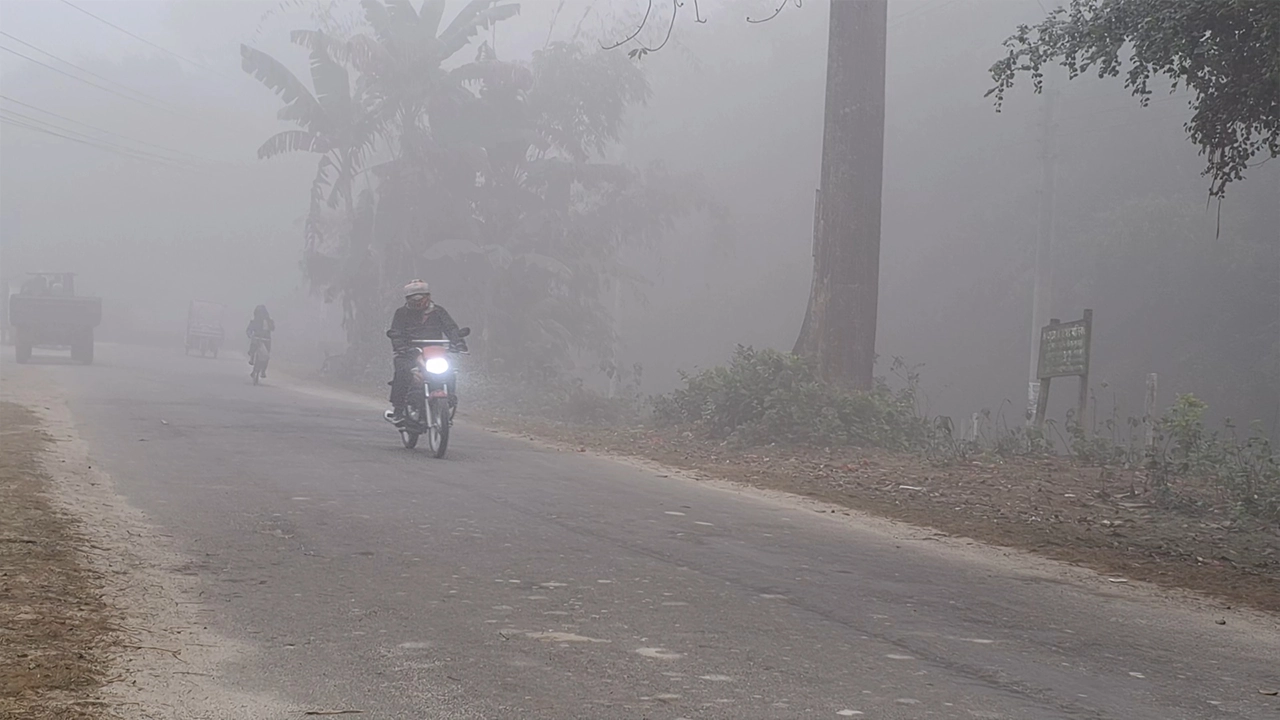 তেঁতুলিয়ায় তীব্র কুয়াশা। ছবি : কালবেলা