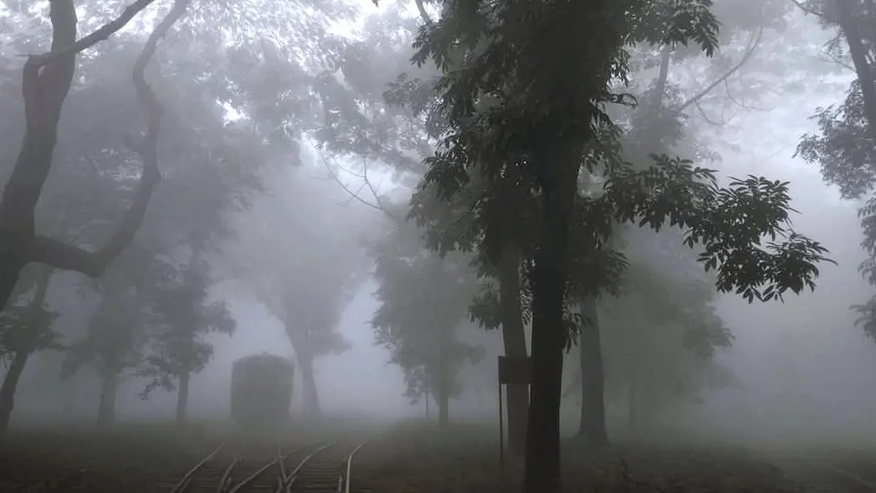 দিনাজপুরে তাপমাত্রা নামল ১০ ডিগ্রিতে