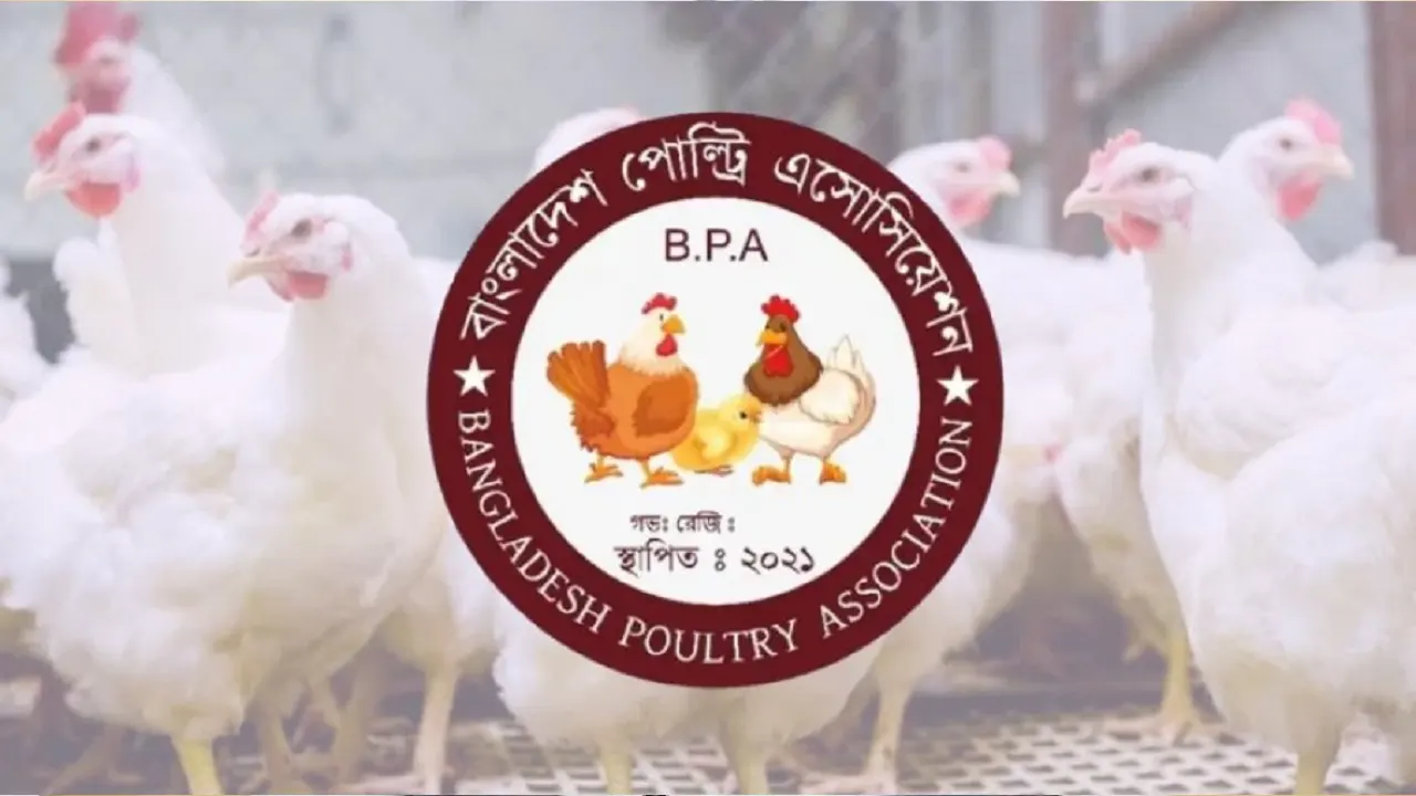 জানুয়ারি থেকে ডিম-মুরগি উৎপাদন বন্ধের হুমকি