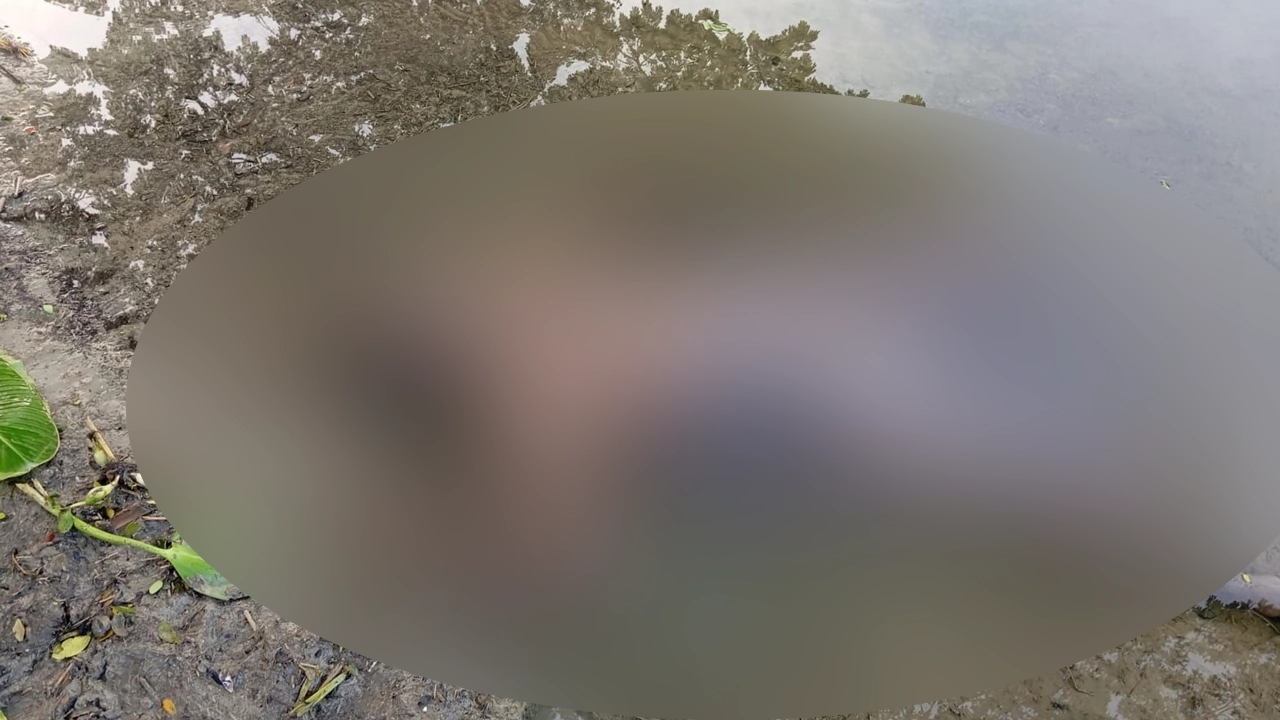 অজ্ঞাত পরিচয় এক ব্যক্তির লাশ উদ্ধার করেছে বর্ডার গার্ড বাংলাদেশ (বিজিবি)। ছবি : কালবেলা