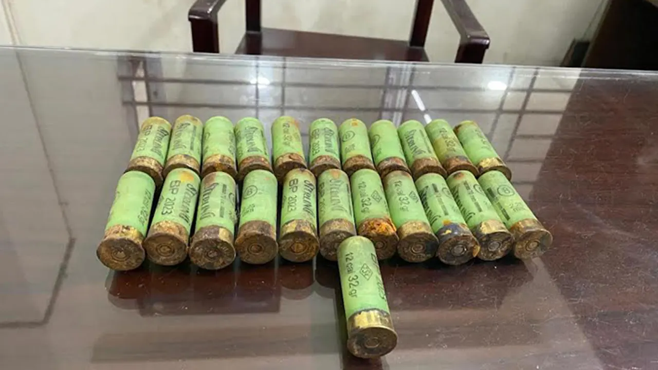 সৌজন্য ছবি।