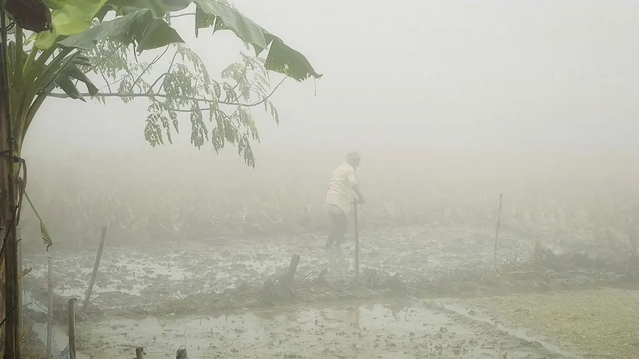 দিনাজপুরে তাপমাত্রা ১১ ডিগ্রি