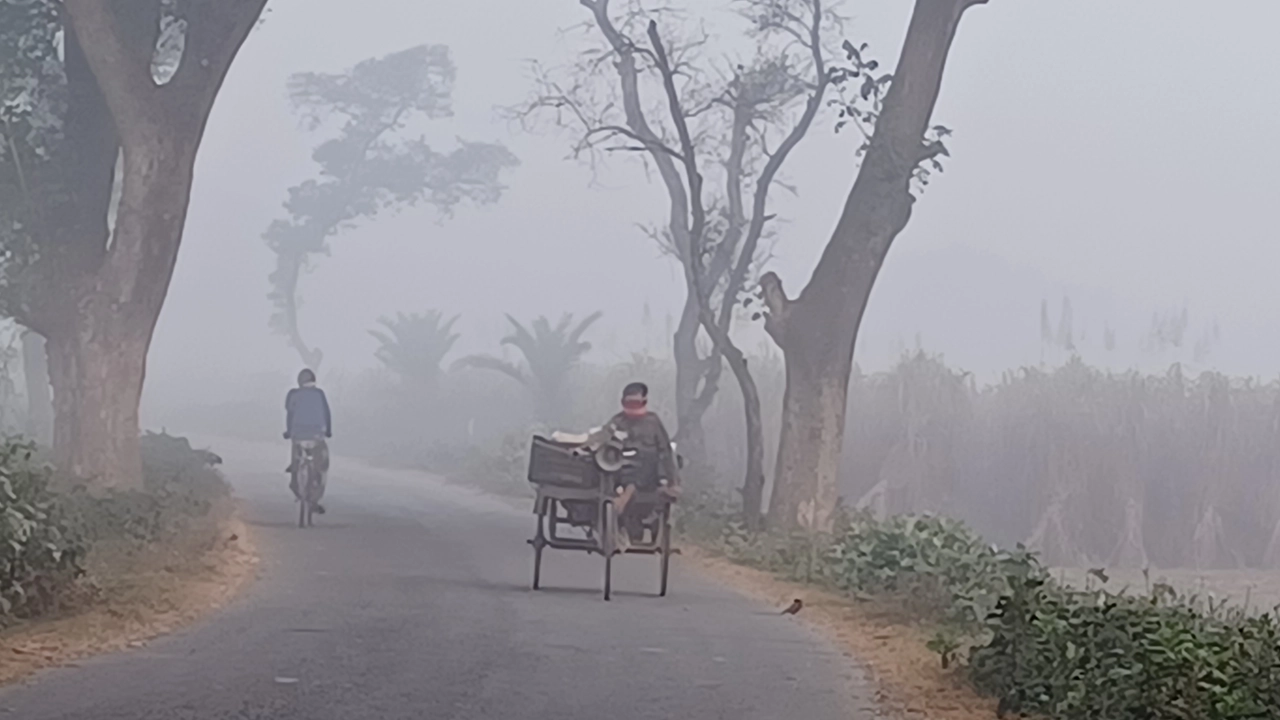 শৈত্যপ্রবাহের কবলে চুয়াডাঙ্গা। ছবি : কালবেলা