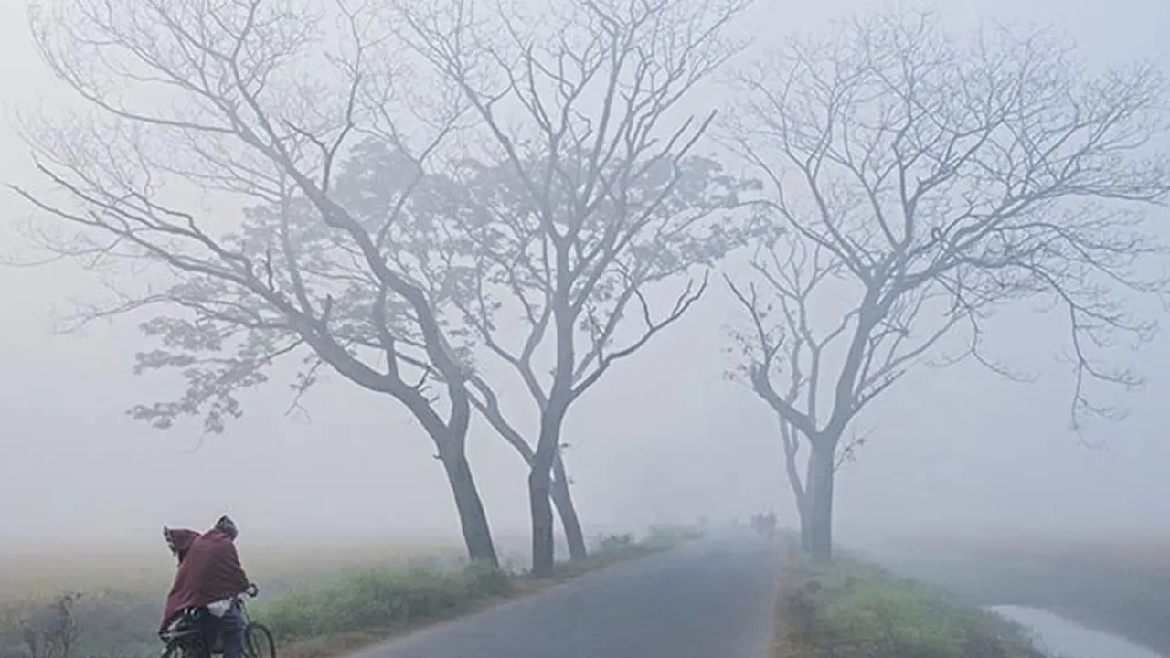 ছবি : সংগৃহীত
