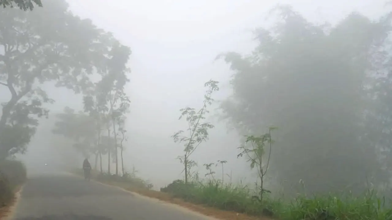 কুয়াশায় আচ্ছন্ন দিনাজপুরের প্রকৃতি। ছবি : কালবেলা