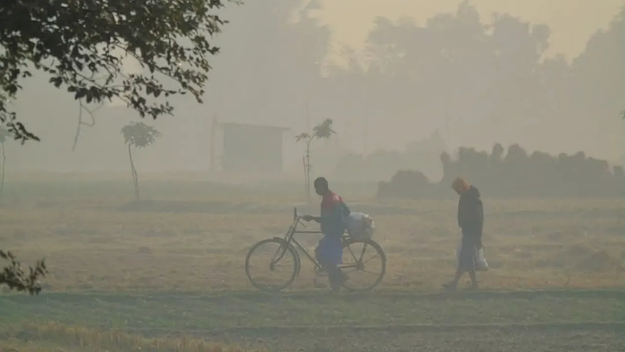 দিনাজপুরে শীতের সকাল। ছবি : কালবেলা