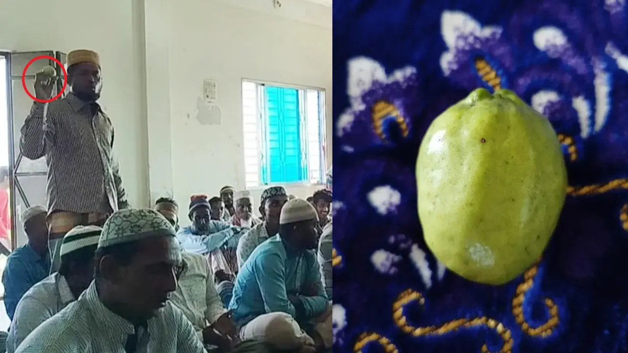 এক হাজার টাকায় বিক্রীত মসজিদে দান করা পেয়ারা। ছবি : কালবেলা