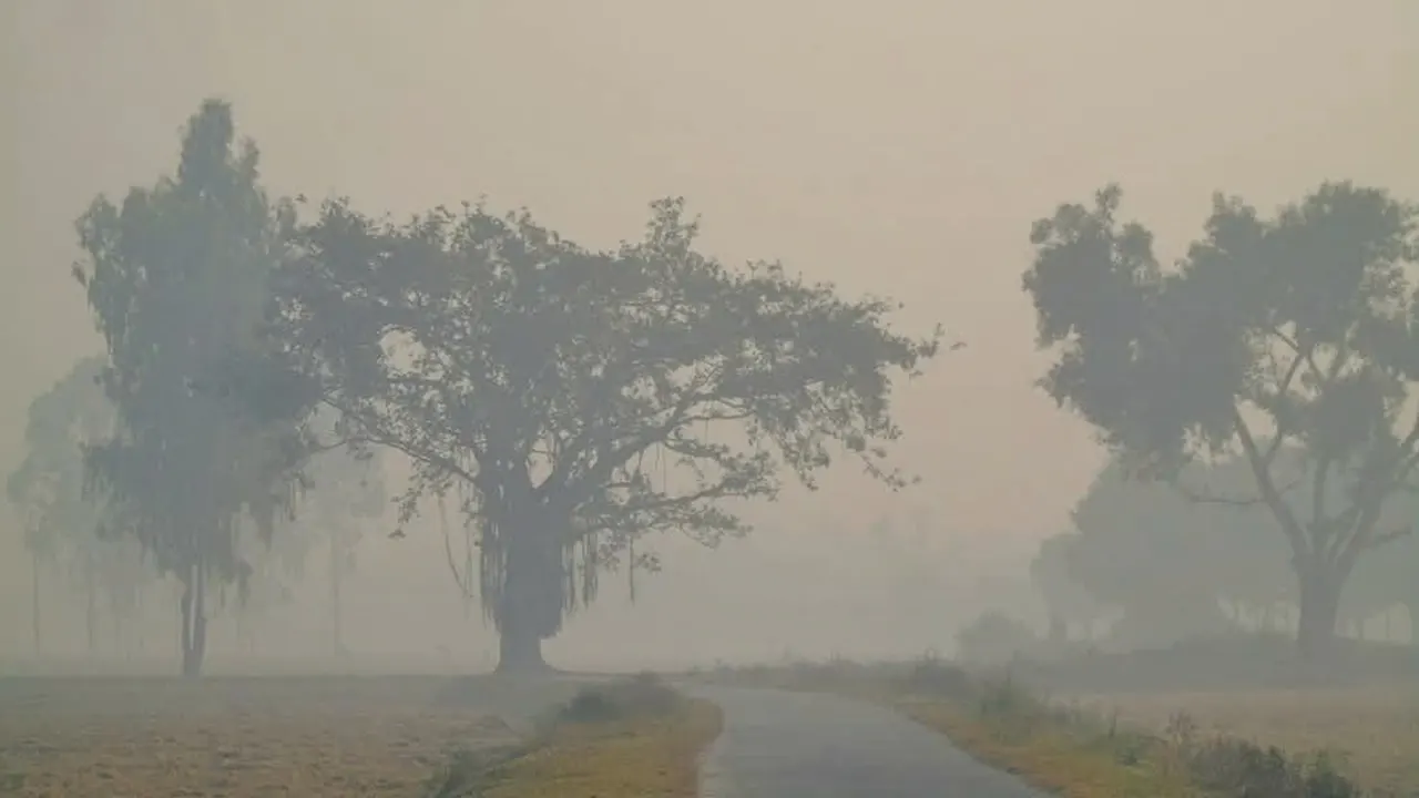 দিনাজপুরের শীতের সকাল। ছবি : কালবেলা