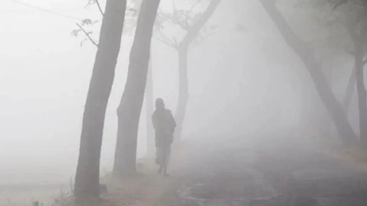 ছবি : সংগৃহীত