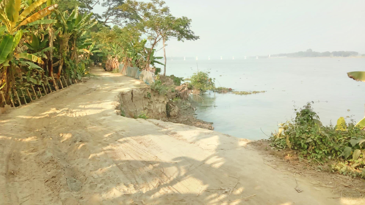 নড়াইলে মধুমতী নদীর ভাঙনে বিলীন হচ্ছে রাস্তা। ছবি : কালবেলা