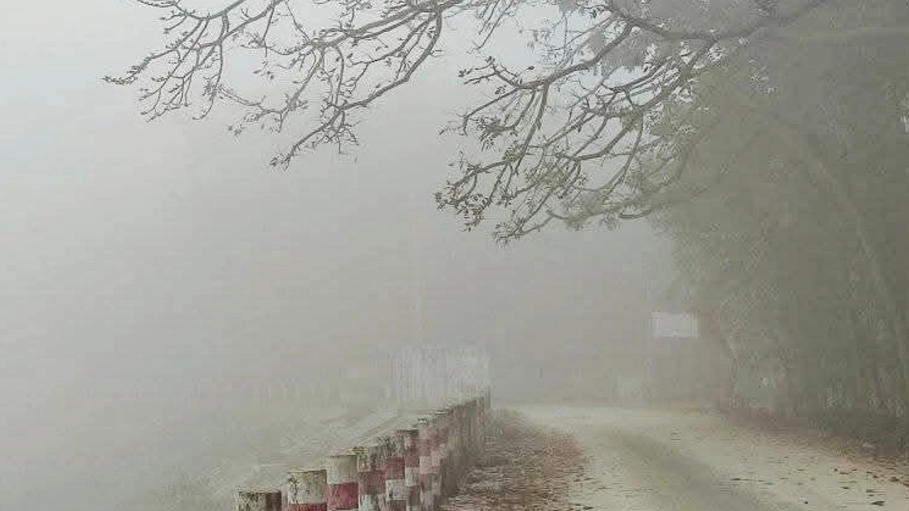 দিনাজপুরে ঘন কুয়াশার সঙ্গে বৃষ্টির মতো ঝরছে শিশির। ছবি : কালবেলা